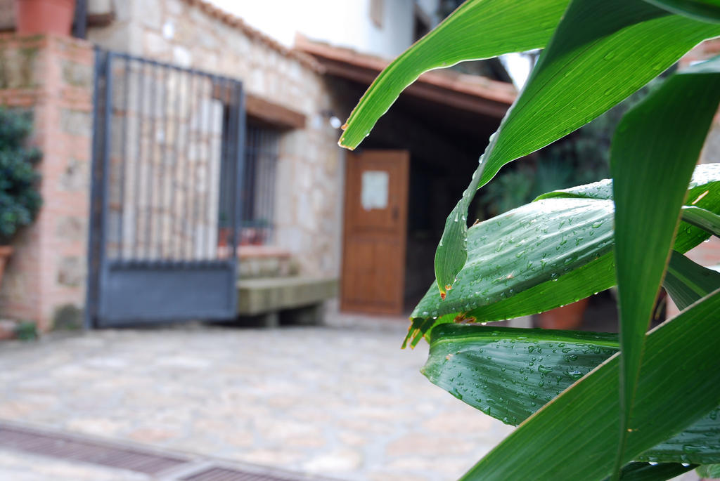 Hostal El Cardenillo 马德里加尔德拉韦拉 外观 照片